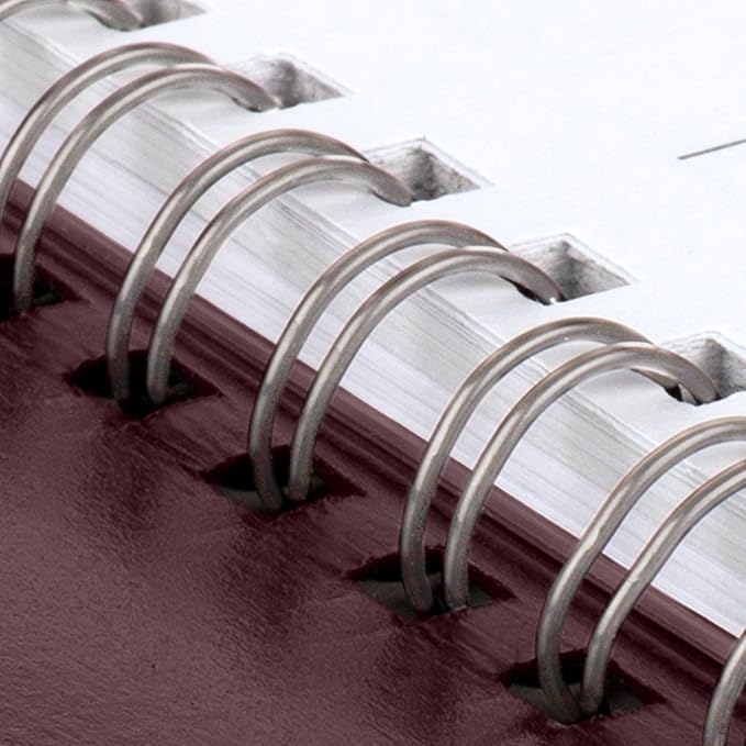 AT-A-GLANCE 2026 Appointment Book Planner, Weekly, 8" x 11", Large, Quarter-Hourly, DayMinder, Burgundy (G5201426)