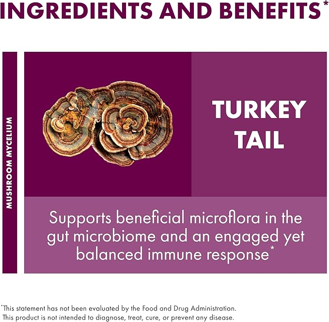 Host Defense Turkey Tail Mushroom Powder - Digestive Health & Immune Response Support Supplement - Mushroom Supplement for Gastrointestinal & Gut Microbiome Support - 7 oz (133 Servings)*