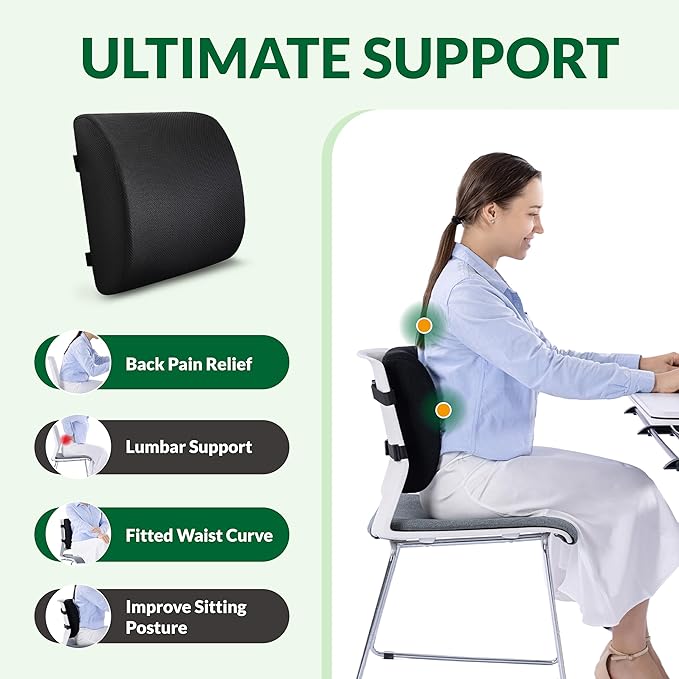 Lumbar Support Pillow for Office Chair Car Seat,Charcoal Memory Foam Chair Back Cushion for Back Pain Relief with Double Adjustable Straps