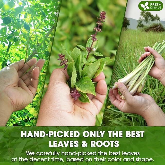 FreshDrinkUS, Premium 75 Tea Bags Tulsi Moringa Lemongrass, 100% Natural & Pure from Tulsi Holy Basil Leaves, Moringa & Lemongrass. Made with Natural Material Tea Bags. No Sugar, No Caffeine, Vegan.