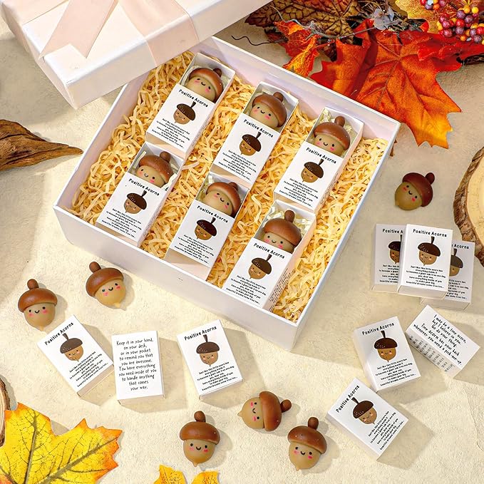Wettarn 24 Sets Positive Acorn Gifts Cute Stress Balls with Support Gift Boxes Fall Thanksgiving Party Favors for Employee Coworker Friends Office Inspirational Relief Toys