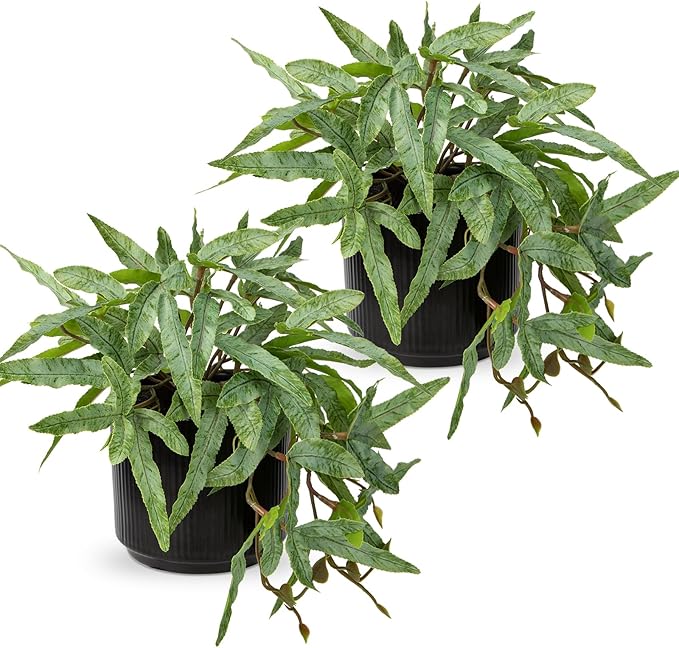 Briful Faux Plants Indoor 9'' Artificial Potted House Plant with Black Ceramic Pot Fake Pteris Cretica Fern Plant for Home Office Room Desk Shelf Decor Indoor(2PACK)