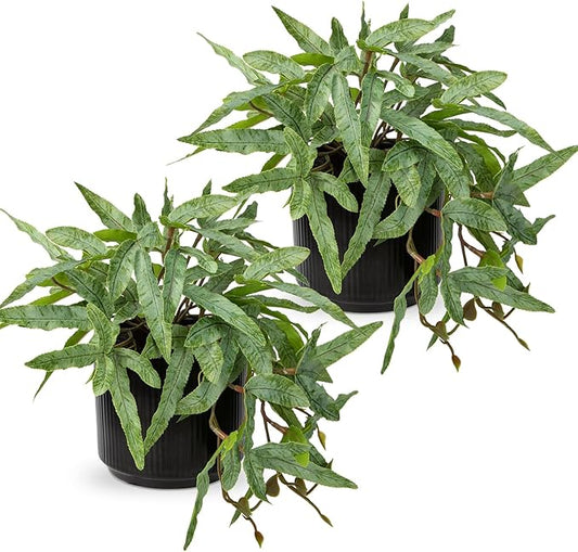 Briful Faux Plants Indoor 9'' Artificial Potted House Plant with Black Ceramic Pot Fake Pteris Cretica Fern Plant for Home Office Room Desk Shelf Decor Indoor(2PACK)