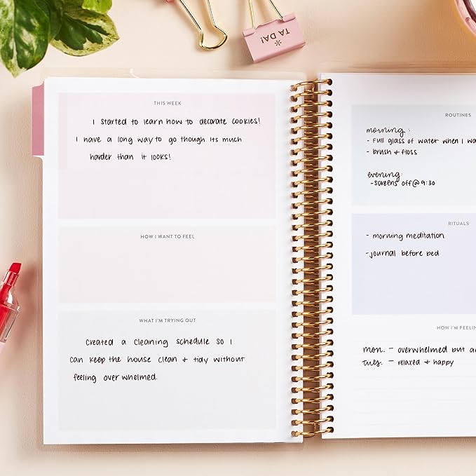 Erin Condren A5 Spiral Daily Routines & Rituals Journal | 3 Months Of Daily Intentions. Weekly And Monthly Check-In Pages, Lined Notes Sections.