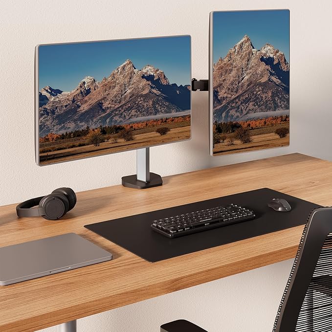 WALI Dual Monitor Mount, Monitor Arm Fits 2 Screens up to 32 inch, Dual Monitor Stand for Desk 19.8 lbs Weight Capacity per Arm Fully Adjustable Designed for Home Office (M002N), Black