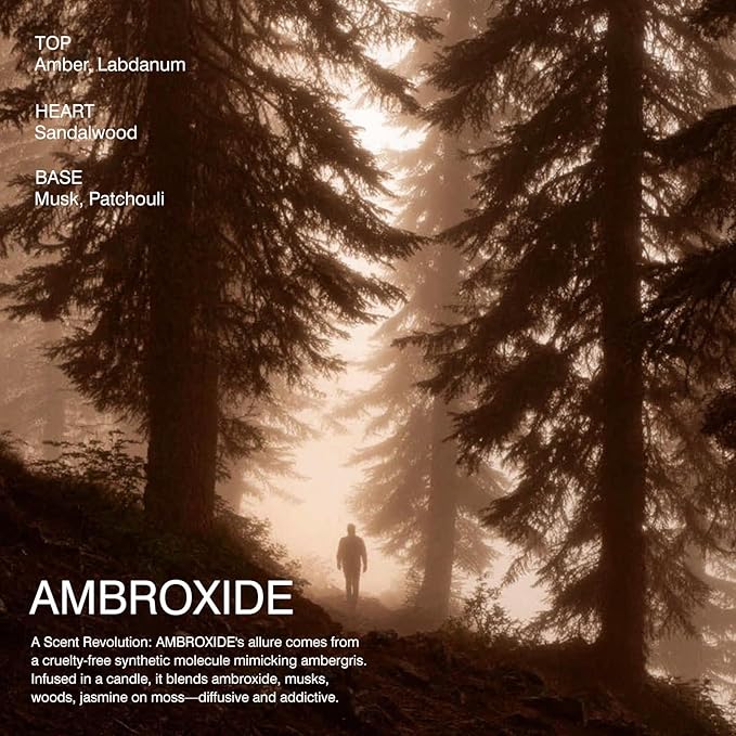 Scented Candle by LUNAAURA | Ambroxide Aromatherapy Candle for Meditation & Yoga | Long-Lasting 65 Hour Burn Time | Natural Soy Blend Wax & 100% Cotton Wick (10.6 oz)