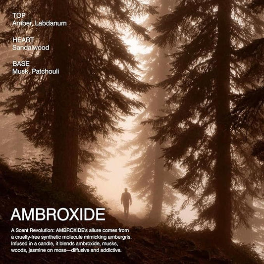 Scented Candle by LUNAAURA | Ambroxide Aromatherapy Candle for Meditation & Yoga | Long-Lasting 65 Hour Burn Time | Natural Soy Blend Wax & 100% Cotton Wick (10.6 oz)