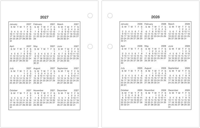 AT-A-GLANCE 2026 Desk Calendar Refill, Daily, 3" x 3-3/4", Mini, Loose-Leaf (E9195026)