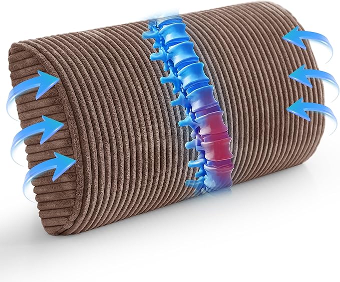 HIGOGOGO Lumbar Support Pillow for Recliner Chair/Accent Chair/Couch, Memory Foam Back Support Cushion for Elderly, Recliner Cushions for Back Rest, Pain Relief, Reading, Washable Cover, Brown