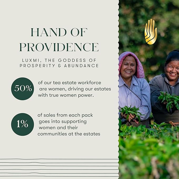 Luxmi Estates - Blue Hills - Organic CTC Assam Black Tea - Loose Leaf - 100g (50 Cups) | Jodhpur Blend - Rajasthan's Favorite Chai | Strong Cup of Original Indian Chai Tea - No Spices