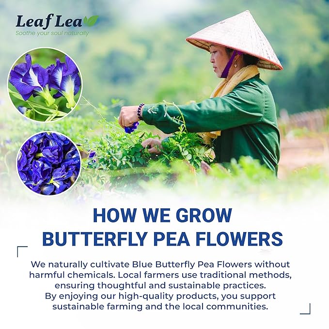 LeafLea 40 Butterfly Pea Flower Tea Bags, Herbal Flower Tea for Relaxation, Mocktails, and Natural Food Coloring, Caffeine-Free, Sugar-Free, Non-GMO