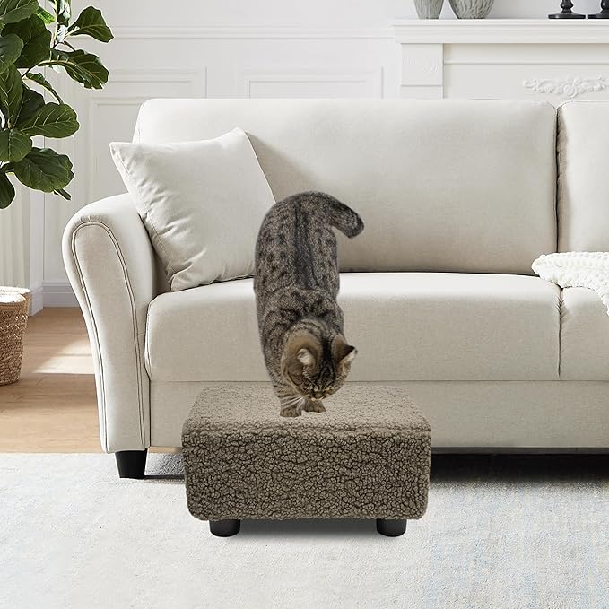 CAROLMADE Small Foot Stool Ottoman Footstool with Legs Under Desk Footrest for Living Room Bedroom and Office, Soft Coffee