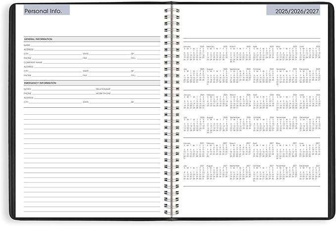 AT-A-GLANCE 2026 Appointment Book Planner, Weekly, 8" x 11", Large, Quarter-Hourly, DayMinder, Black (G5200026)