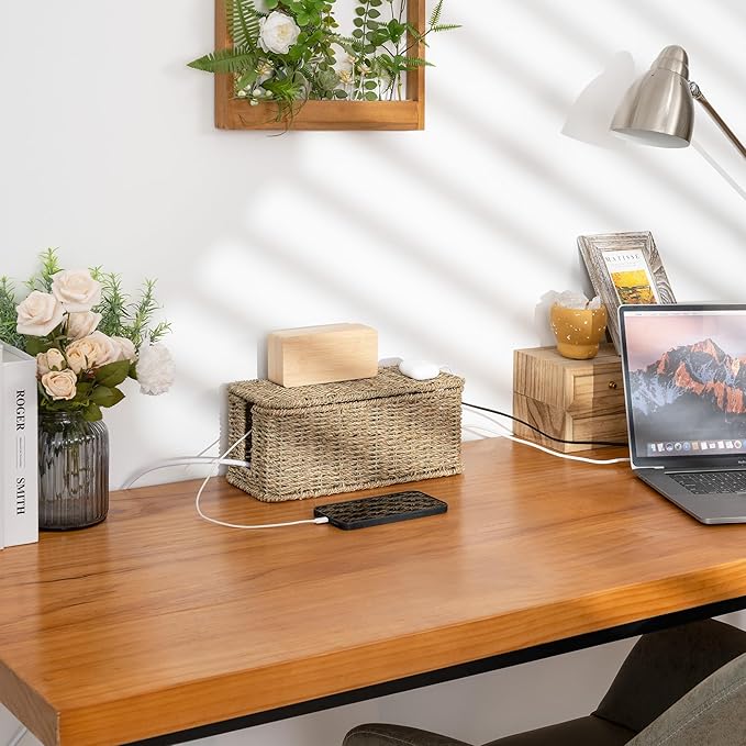 StorageWorks Cable Management Box, 2 Slots Wicker Cable Organizer to Hide Cords and Power Strip, Seagrass Cord Hider Box for Home & Office