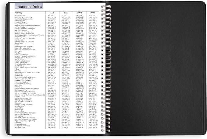 AT-A-GLANCE 2026 Appointment Book Planner, Weekly, 8" x 11", Large, Quarter-Hourly, DayMinder, Black (G5200026)