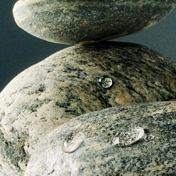 Nest New York Reed Diffuser, Forest Rain - 5.9 fl oz - Fragrance for Up to 90 Days - Reusable, Refillable Glass Holder - Includes 8 All-Natural Reed Sticks - Flame Free