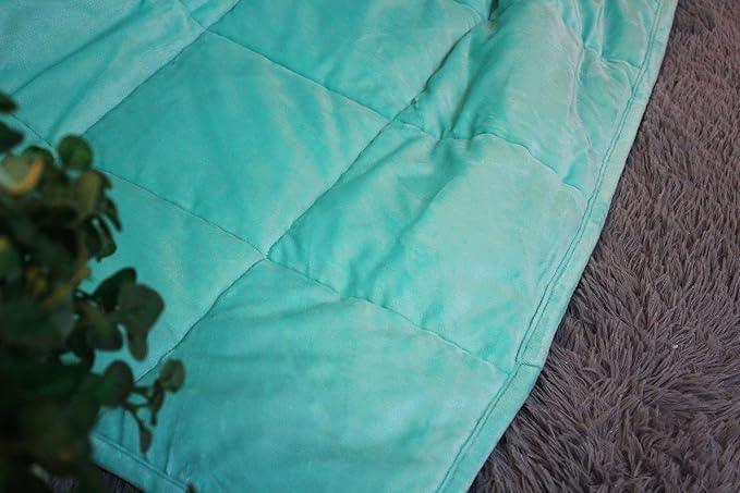 ALANSMA Reversible Weighted Blanket for All Season, Luxury Velvet, Warm and Cool, Adult 7Lb Green Weighted Blanket, Enjoy Sleeping Anywheret (Light Green, 40''x60'' 7lbs)