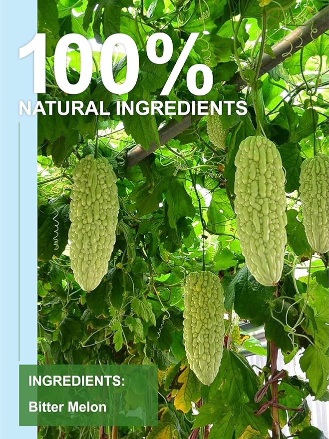 TeeLux Bitter Melon Tea Bags, Pure & Natural Momordica Charantia, Mild & Smooth Taste, Caffeine Free, 100 Count