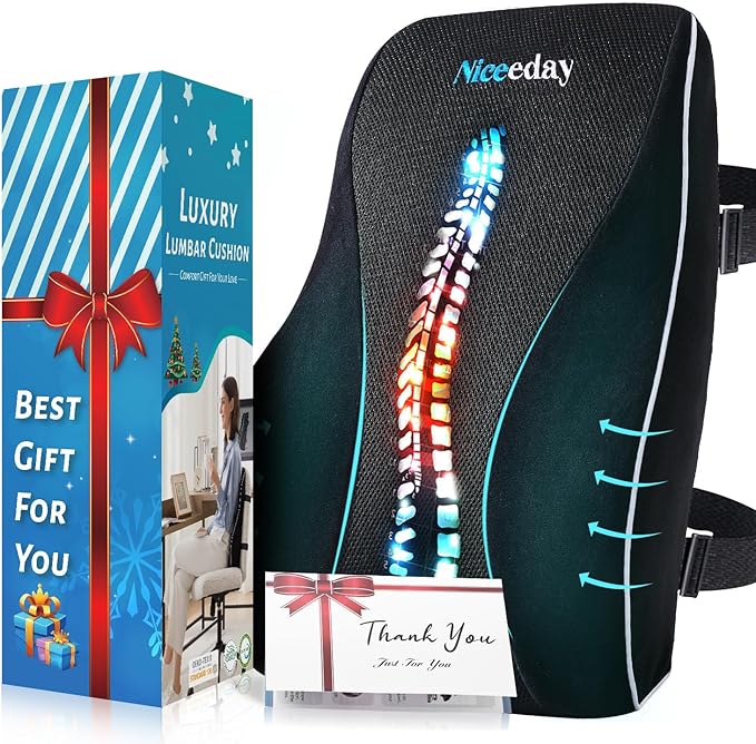 Lumbar Support Pillow for Office Chair Car, Gaming Chair Lower Back Pain Relief Memory Foam Cushion with Greeting Card,3D Mesh Cover Ergonomic Back Rest, Birthday Gift Father‘s Day Gifts for Dad