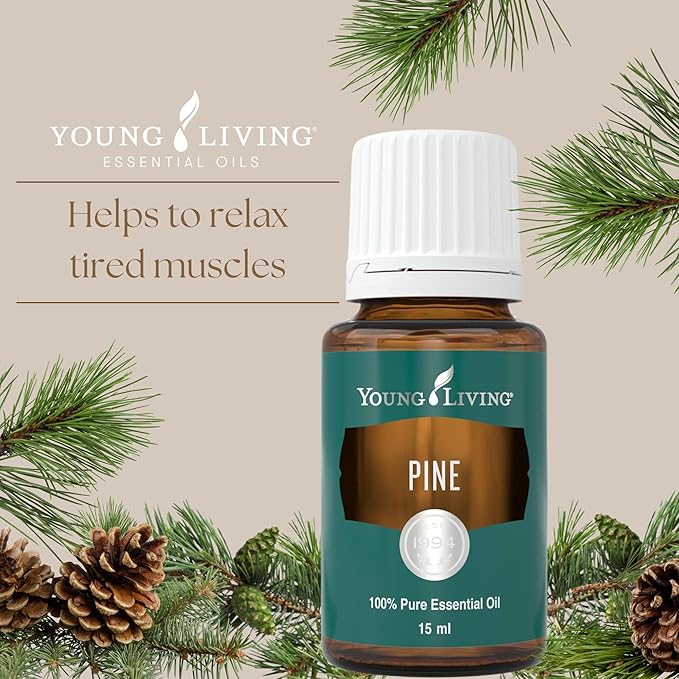 Young Living Pine Essential Oil | 15 ml | Fresh, Woodsy Aroma for DIY Cleaning, Aromatherapy Diffusion, Massage, Meditation, Topical Use (Dilution Required)