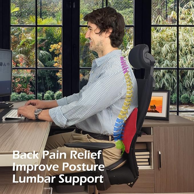 Inflatable Lumbar Support Pillow for Office Chair and Car Seat, Back Support Cushion with Air Pump for Reducing Lower Back Pain