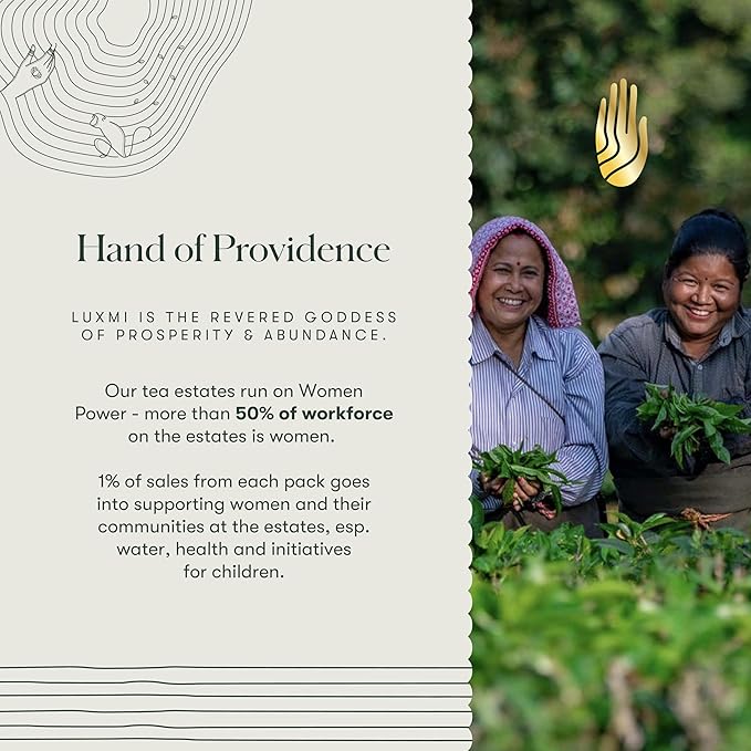 LUXMI Estates Vanilla Spice Chai 100Gm Loose Leaf Tin | Certified Organic Black Tea Leaf | Smooth, Flavorful, Robust, Caffeinated | Darjeeling & Assam Tea From India, 100 grams