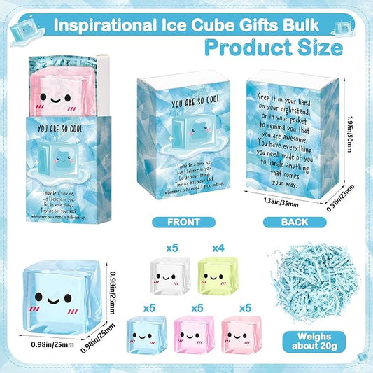 Wettarn 24 Sets Inspirational Gifts Ice Cube Stress Balls with Support Gift Boxes You Are So Cool Party Favors for Adults Teens Office Classroom Prizes Relief Fidget Toys Desk Decor