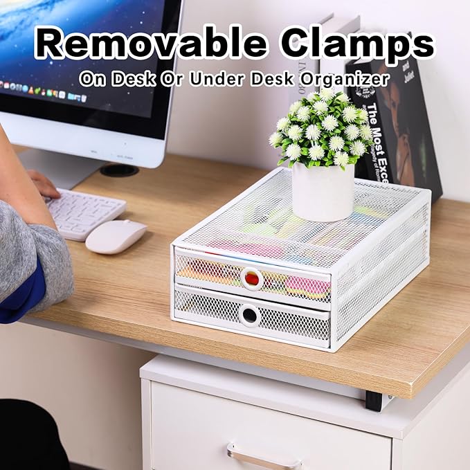 ROSLINE Under Desk & Desktop Drawer Organizer - 2-Tier Metal Slide Out Drawers Organizer, Storage for Home Office Desk (White)