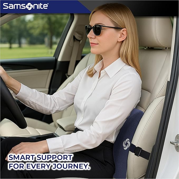 Samsonite Ergonomic Lumbar Support Pillow for Office Chair and Car Seat - Memory Foam Back Support Lumbar Pillow Premium Cushion Chair Support for Lower Back Pain Relief and Versatile Use (Dark Blue)