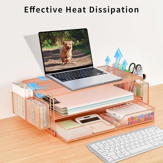 AUPSEN Computer Monitor Stands Riser，2-Tier Desk Organizers and Accessories, Office Desk Accessories Organizer with Drawers and 2 Pen Holder for Office Supplies (Rose Gold)