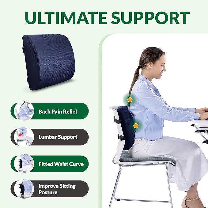 Back Support Pillow for Office Chair and Car Seat,Lumbar Support for Office,Charcoal Memory Foam Back Cushion-Breathable Mesh Cover,Double Adjustable Straps,Dark Blue