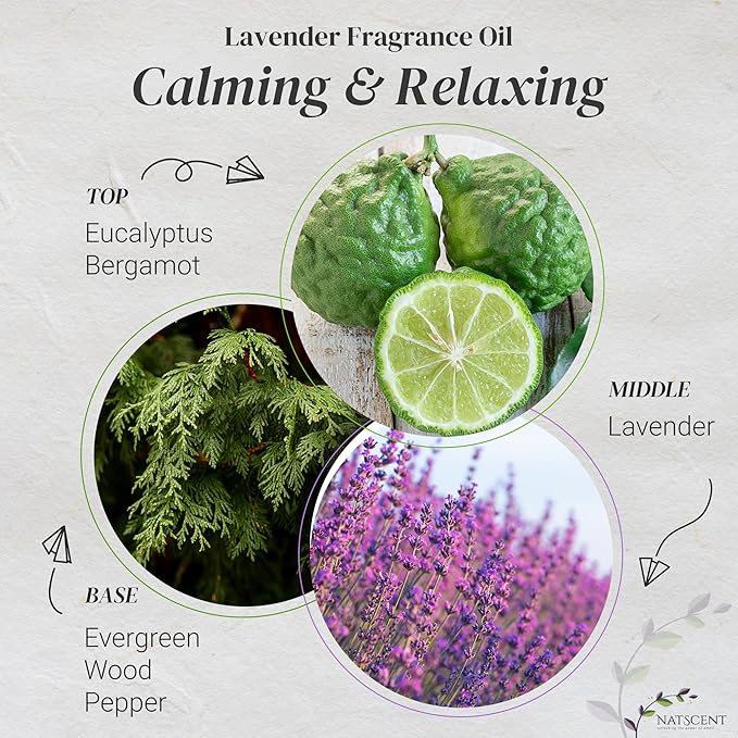 Lavender Essential Oils for Diffusers for Home, Nature-derived Lavender Essential Oil, Long-Lasting & Family-Friendly Diffuser Oils Scents, IFRA Certified, Cold Air & Ultrasonic - 4 oz