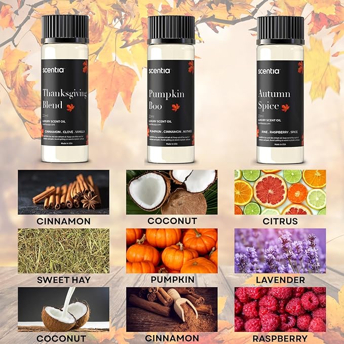 Fall Essential Oils for Diffuser with 3 Cozy Scents: Autumn Spice, Thanksgiving Blend & Pumpkin Boo - 20ml Aromatherapy Oils for Home, Candles & DIY - Perfect Fall Gift