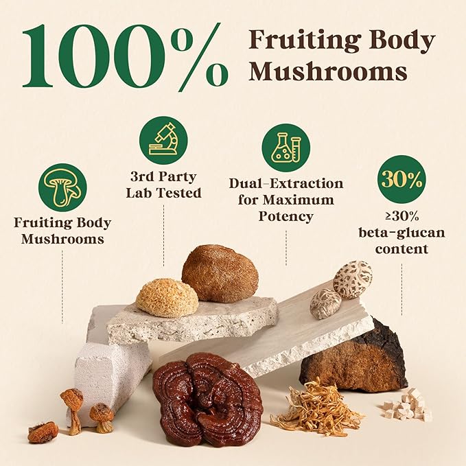 Fidus 16 Mushroom Supplement Powder with 17,300mg, 90 Servings Mushroom Coffee Alternative for Immunity, Focus & Energy with Ashwagandha, Lion's Mane, Chaga, Reishi and Cordyceps, 100% Fruiting Bodies