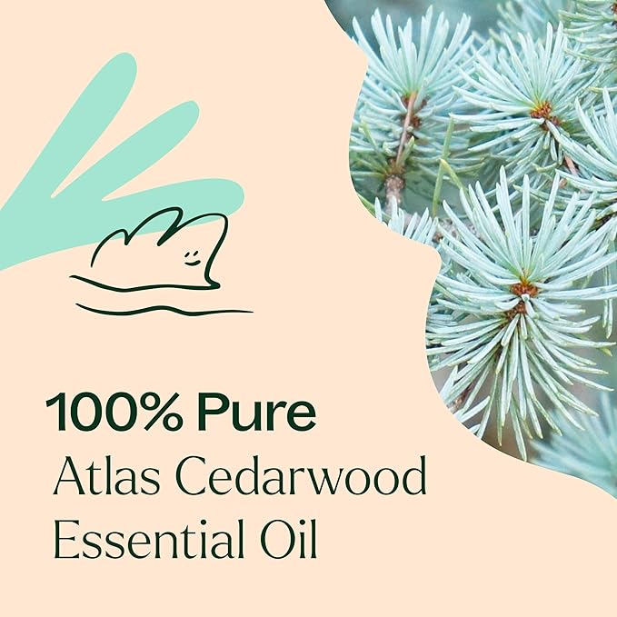 Plant Therapy Organic Atlas Cedarwood Essential Oil 100% Pure, USDA Certified Organic, Undiluted, Natural Aromatherapy for Diffusion, Skin, and Hair, Therapeutic Grade 10 mL (1/3 oz)