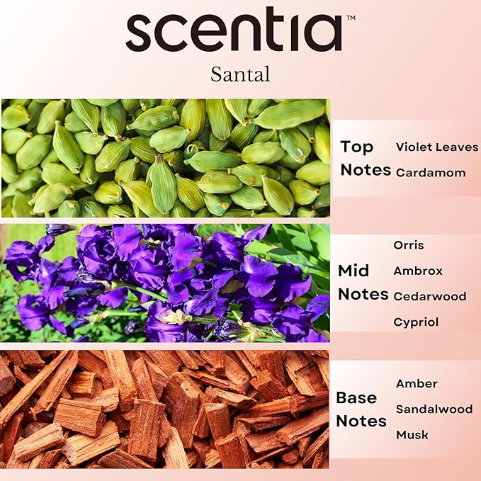 Santal Diffuser Oil – Premium 20ml Santal-Inspired Blend – Sandalwood, Amber, Musk, Cedar, Cardamom – Luxury Fragrance Oil for Ultrasonic & Waterless Diffusers – Made in USA