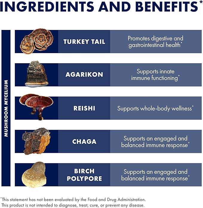 Host Defense MycoShield Throat Spray - Immune Health Support - Dietary Mushroom Supplement with Chaga, Reishi, Turkey Tail & More - On-The-Go Immune Support - Peppermint, 1 fl oz (71 Servings)*