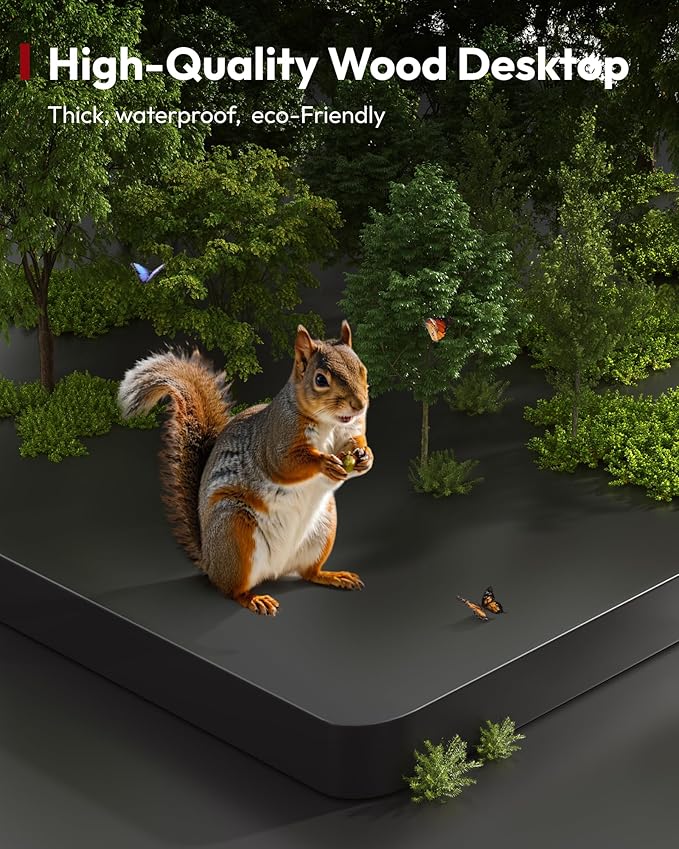 SANODESK Electric Standing Desk 55 x 28 Inches Whole-Piece Desktop Height Adjustable Stand Up Desk w/6-Button Controller Ergonomic Computer Desk for Home Office, White Frame + Black Tabletop