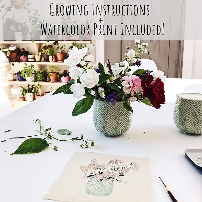 The Growing Candle, Sandalwood & Vanilla Scented, 10oz Ceramic Pot, Aromatherapy Candles for Home, 100% Soy, Ida