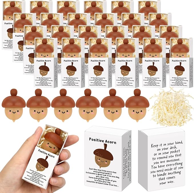Wettarn 24 Sets Positive Acorn Gifts Cute Stress Balls with Support Gift Boxes Fall Thanksgiving Party Favors for Employee Coworker Friends Office Inspirational Relief Toys