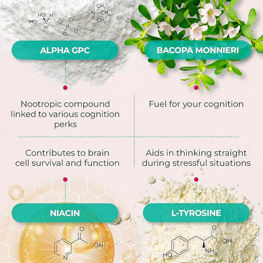 PUREHEALTH RESEARCH Ageless Brain Supplements for Memory and Focus - Nootropic Brain Health Supplement for Adults - with Bacopa Monieri, Alpha GPC, L-Tyrosine, Vitamin B6, Niacin & More, 60 Capsules