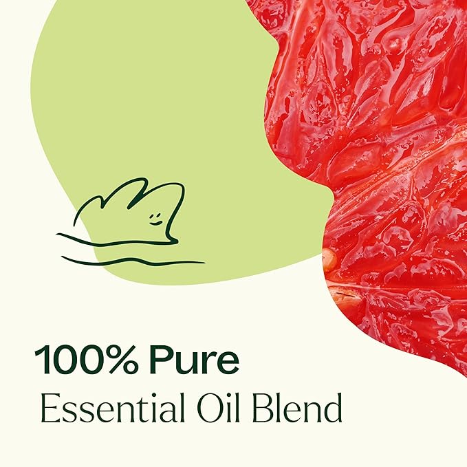 Plant Therapy Brain Aid Essential Oil Blend for Focus & Attention 100% Pure, Undiluted, Natural Aromatherapy, Therapeutic Grade 30 mL (1 oz)