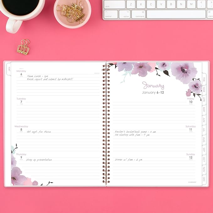 Cambridge 2025 Planner, Weekly & Monthly, 8-1/2" x 11", Large, Mina (1134-905-25)