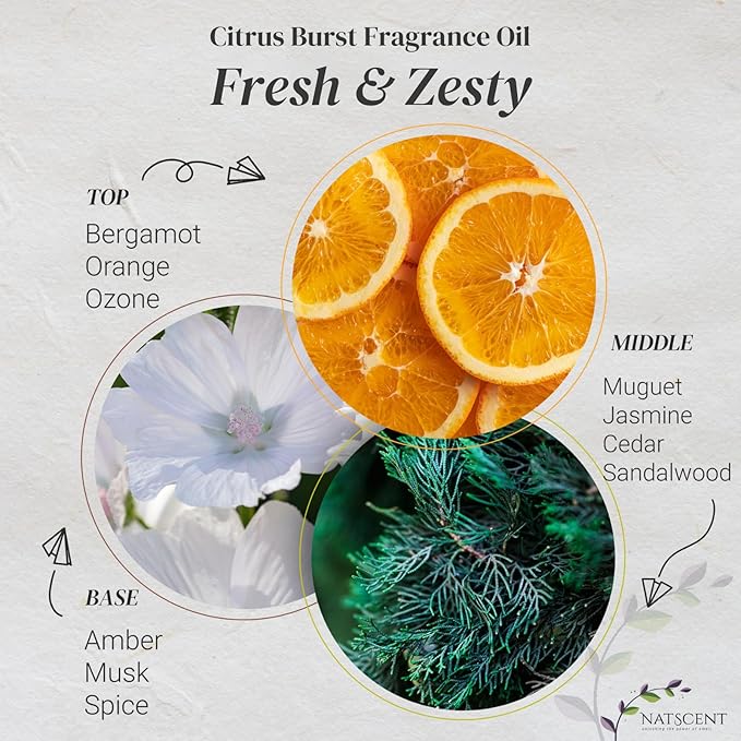 Citrus Burst Essential Oils for Diffusers for Home, Nature-derived Citrus Essential Oil, Long-Lasting & Family-Friendly Diffuser Oils Scents, IFRA Certified, Cold Air & Ultrasonic – 4oz