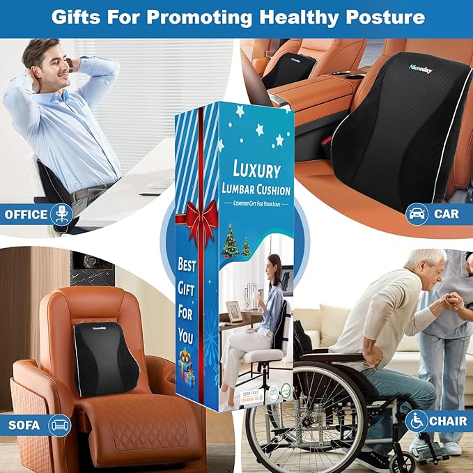 Lumbar Support Pillow for Office Chair Car, Gaming Chair Lower Back Pain Relief Memory Foam Cushion with Greeting Card,3D Mesh Cover Ergonomic Back Rest, Birthday Gift Father‘s Day Gifts for Dad