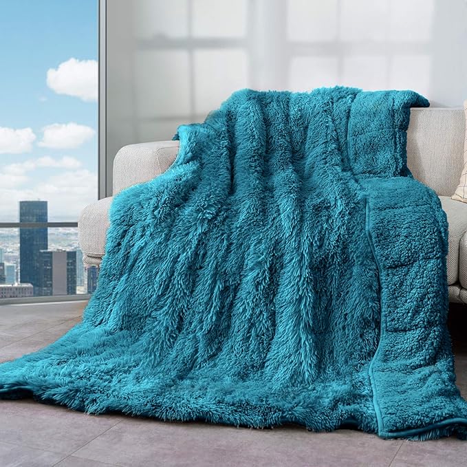 Cottonblue Weighted Blanket 20lbs, Faux Fur Reversible Luxury Snugly Long Fur Warm Heavy Blanket 60x80 inches, Warm Elegant Plush Sherpa Microfiber Blanket for Couch Bed Chair Photo Props,Teal Green