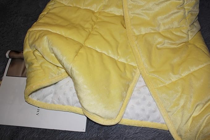 ALANSMA Reversible Weighted Blanket for All Season, Luxury Velvet, Warm and Cool, Adult 20Lb Yellow Weighted Blanket, Enjoy Sleeping Anywhere(Light Yellow,60"x80" 20lbs)