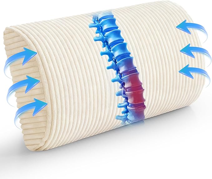 HIGOGOGO Lumbar Support Pillow for Recliner Chair/Accent Chair/Couch, Memory Foam Back Support Cushion for Elderly, Recliner Cushions for Back Rest, Pain Relief, Reading, Washable Cover, Beige