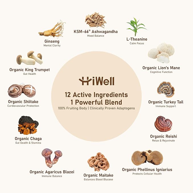 Mushroom Coffee 12-in-1 – Organic Lion's Mane, Reishi, Ginseng, KSM-66® Ashwagandha–Focus, Calm Energy & Daily Balance–100% Fruiting Body Extracts–Vegan, Nootropic, Low Caffeine–30 Servings