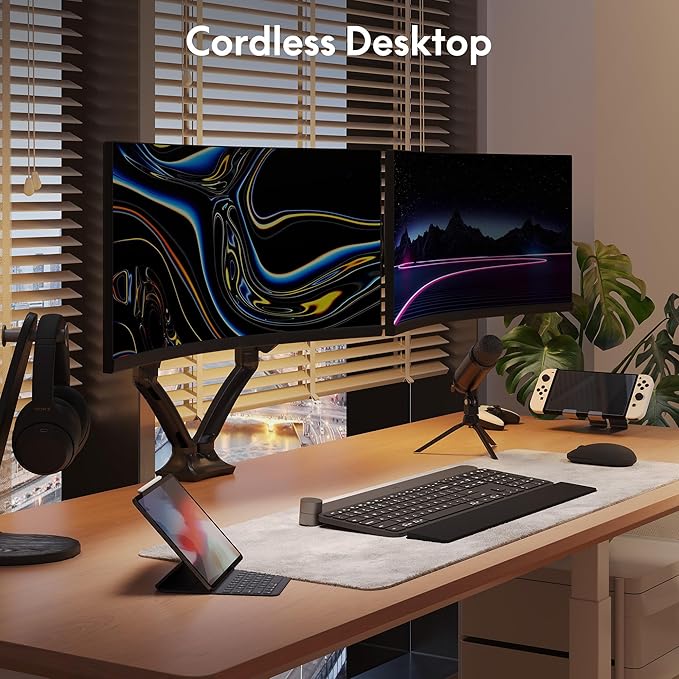 FlexiSpot Dual Monitor Stand for Desk Adjustable Spring Monitor Arm Desk Mount Hold up to 3.3 to 11lbs Vesa Dual Monitor Mount with C Clamp for 10 to 27 Inch Computer Screens